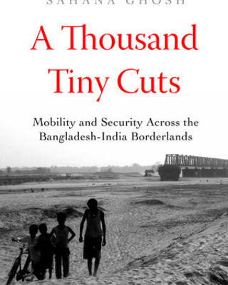 a_thousand_tiny_cuts.jpg