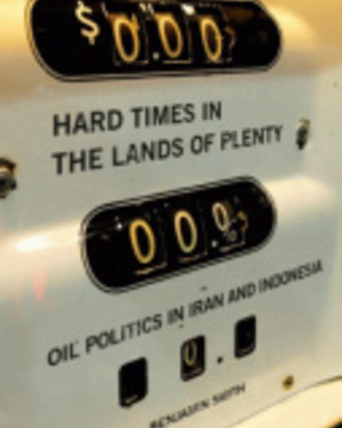 hard_times_in_the_lands_of_plenty.jpg