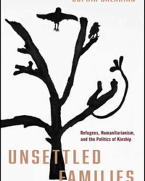 unsettled_families.jpg